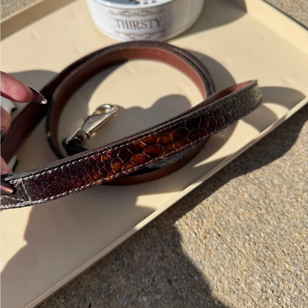 Pet Bundle - Bowls, Leash, Mat